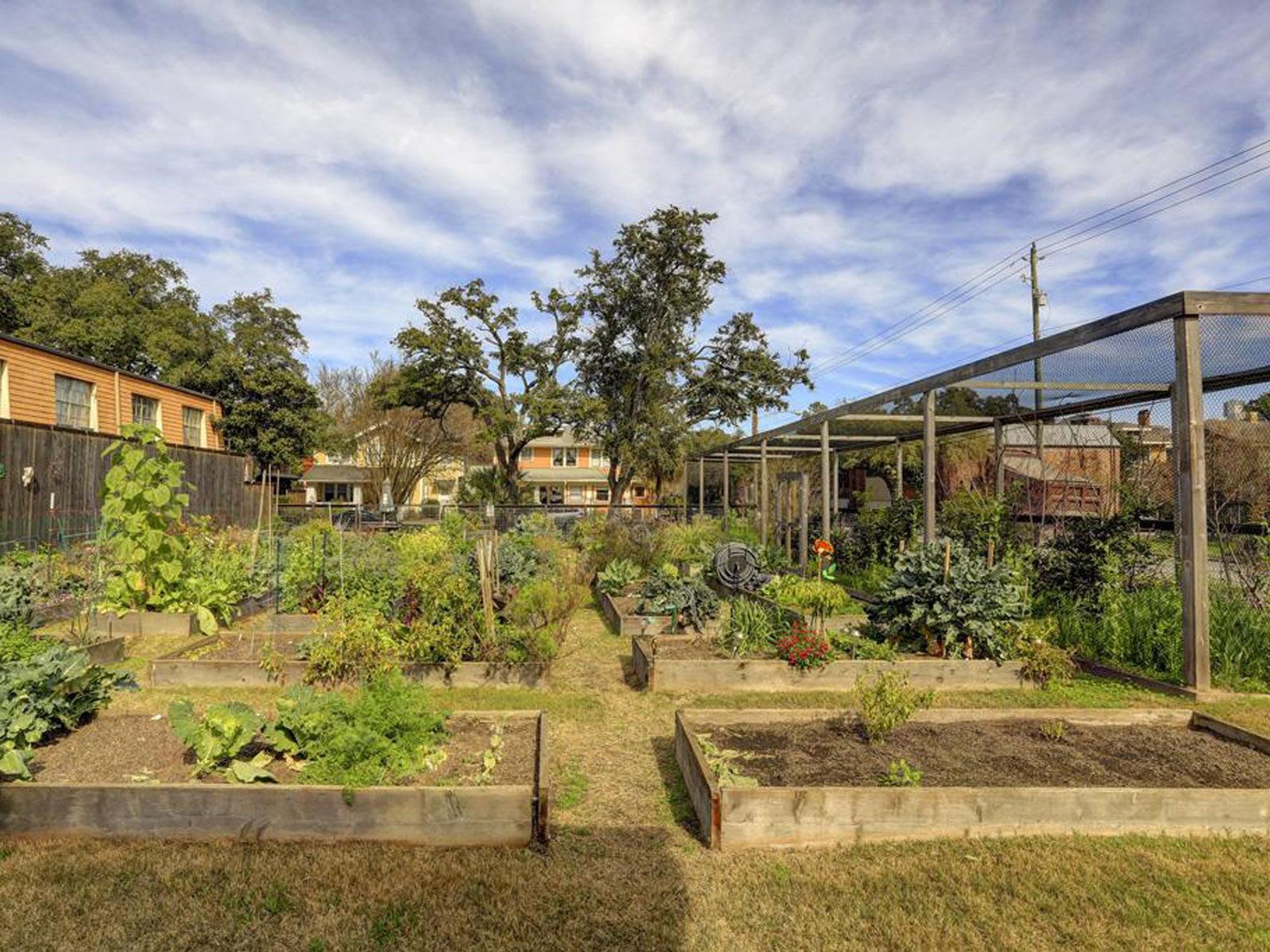 2 803 Kipling St. community garden