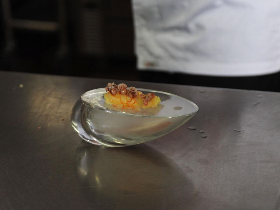 6 Joan Roca coming to Houston May 2014 master class