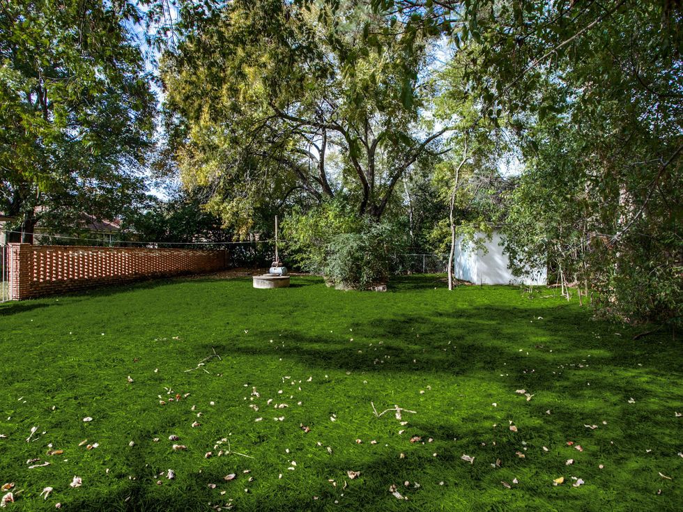 813 Connally, backyard