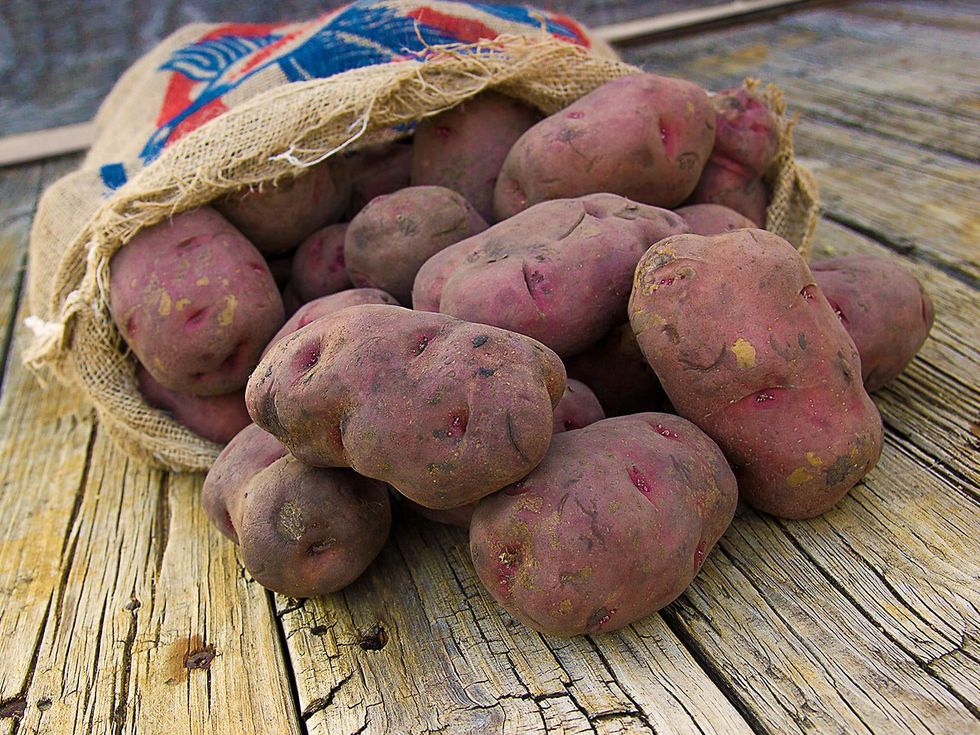 Undeterred by previous failures, Texas farmer gives potatoes another