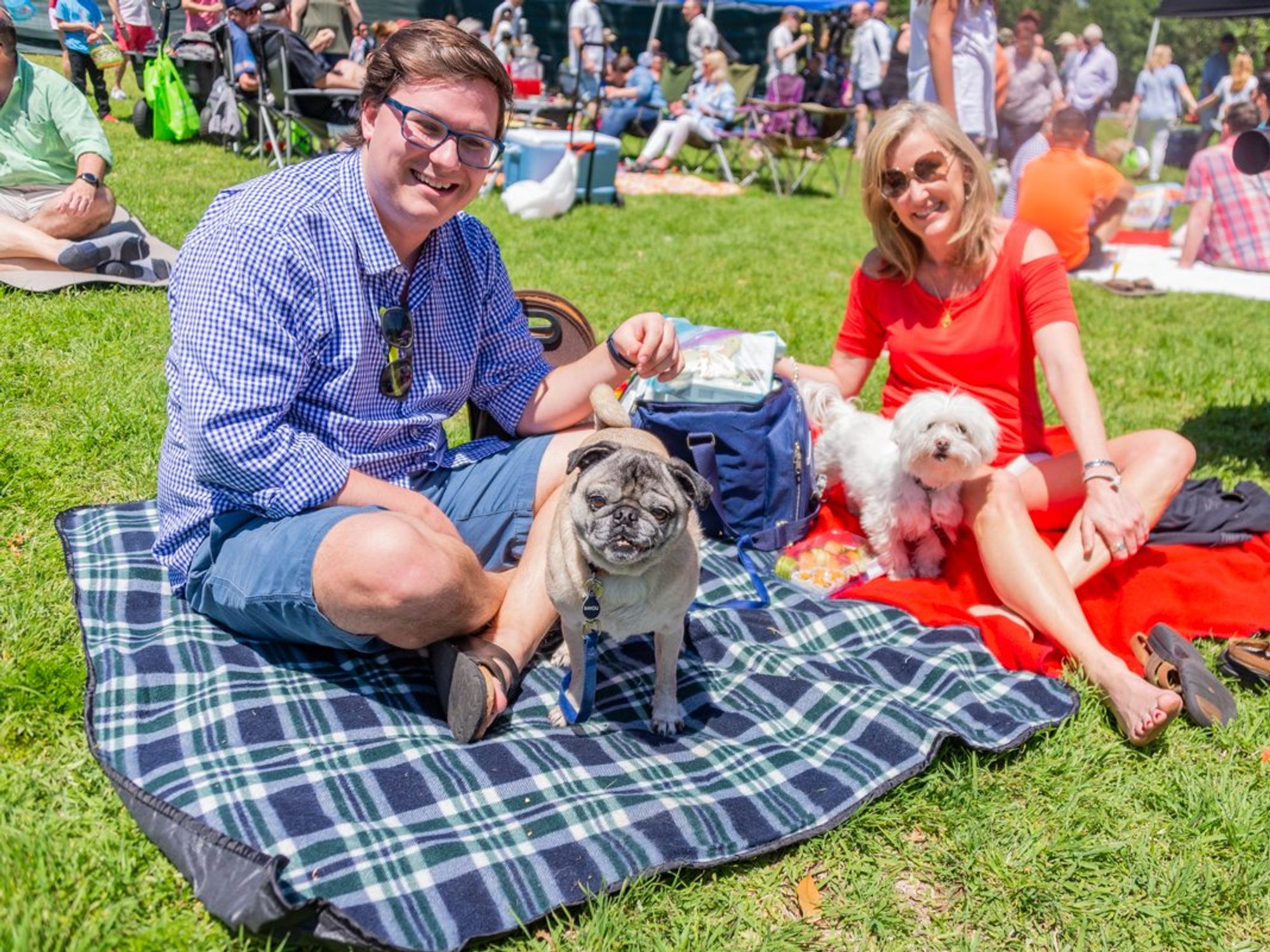 A woman and a man sit on blankets on the ground with their dogs in a park.