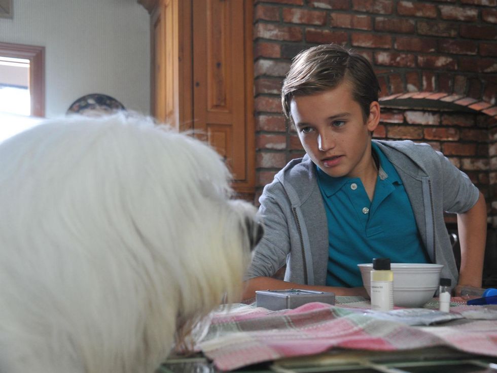 Abner the Invisible Dog