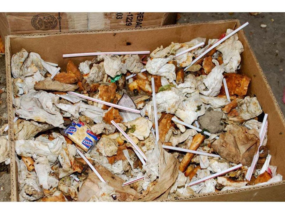 Animal cruelty, Michelle Lehman