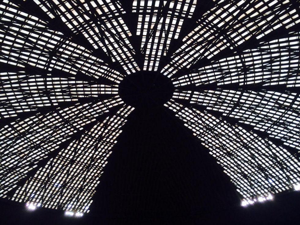 Astrodome roof August 2014