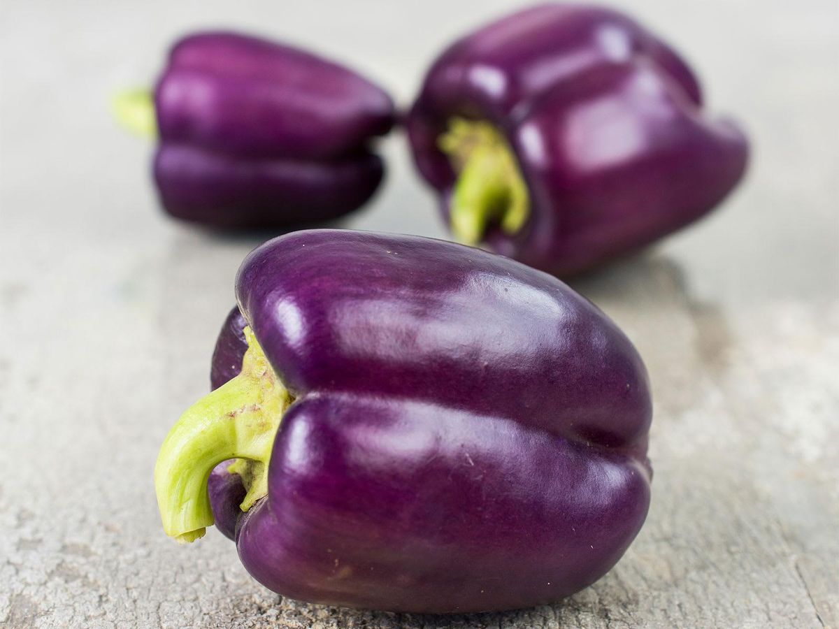 Baker Creek Heirloom Seeds' lilac bell peppers. CultureMap Dallas