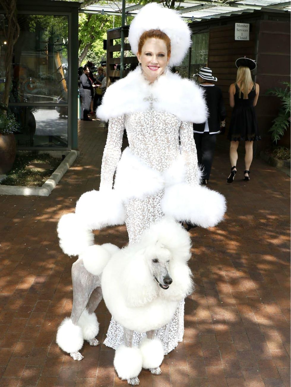 Becky Parks, Gandalf the French poodle, Mad Hatter's Tea