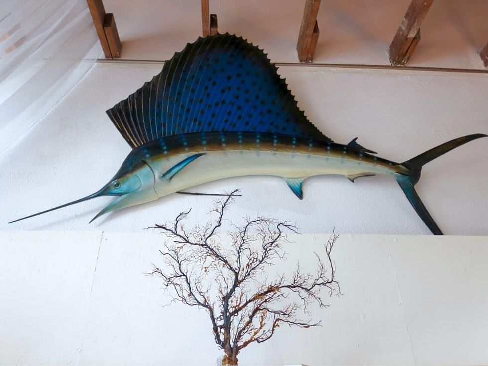 Benny Jack Antiques in Dallas