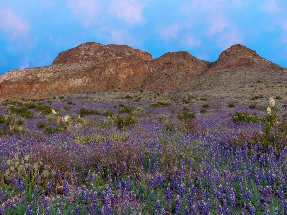 Big Bend Ranch State Park Texas Parks and Wildlife