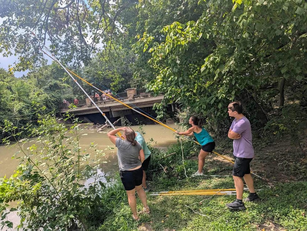 bird heron Richardson