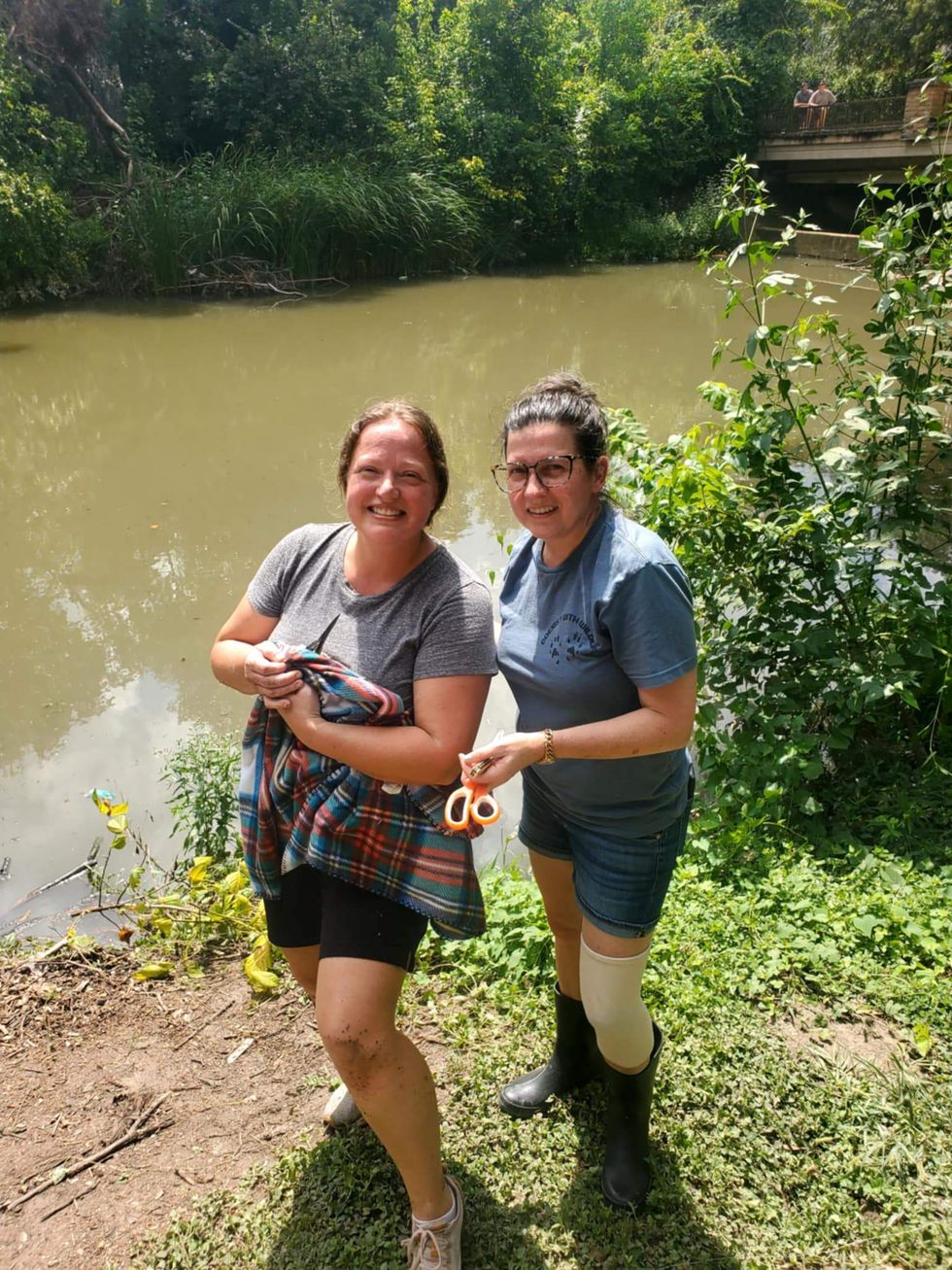 bird heron Richardson