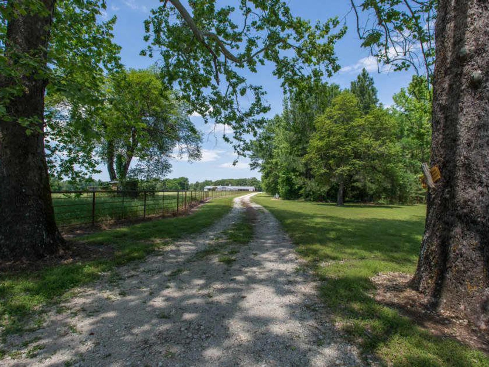 Bob Breunig ranch, 2325 FM 49, Mineola