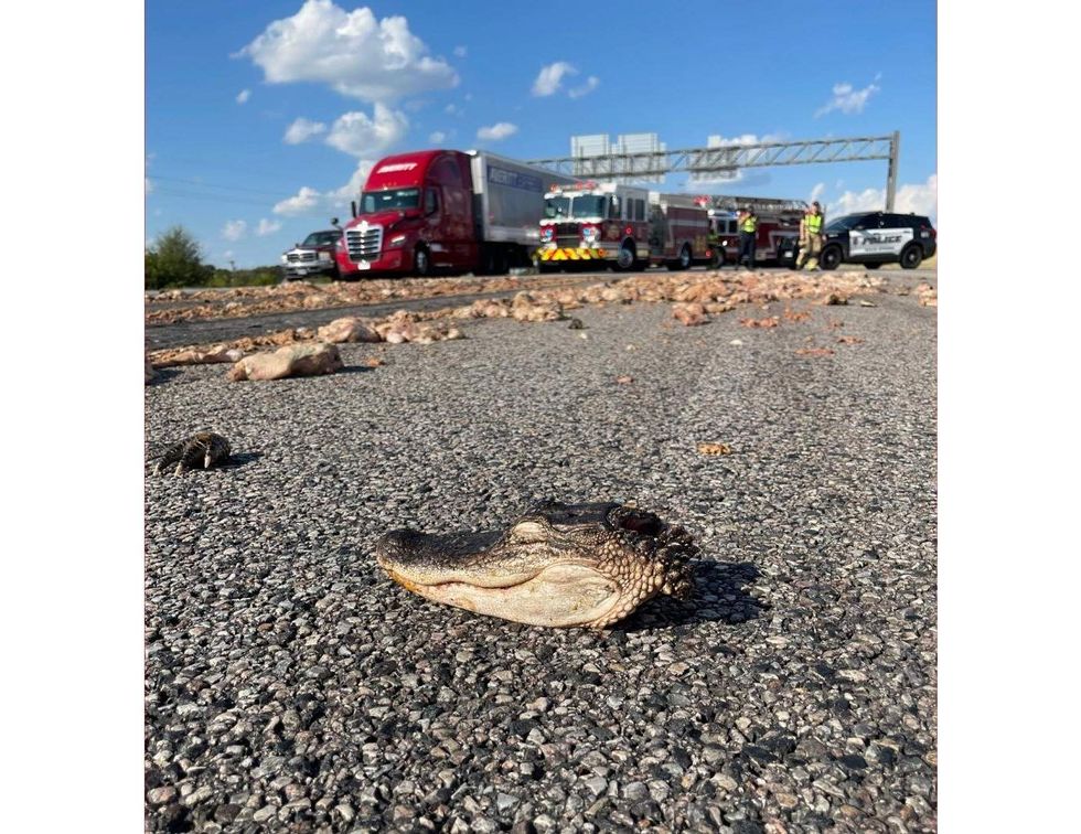 635 in SE Dallas shut down due to animal parts on road - CultureMap Dallas