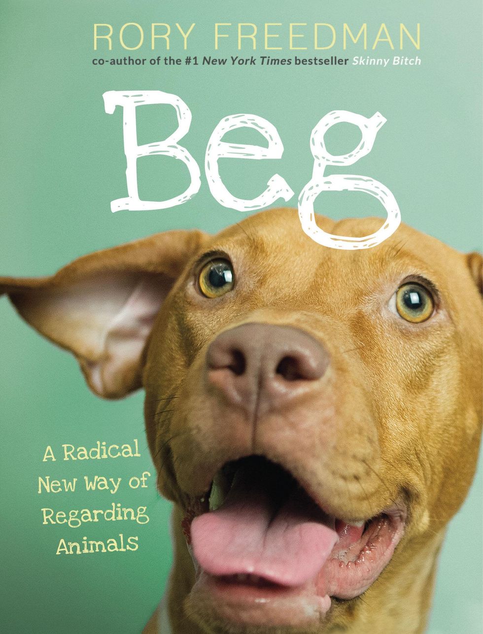Book cover of Beg: A Radical New Way of Regading Animals by Rory Freedman
