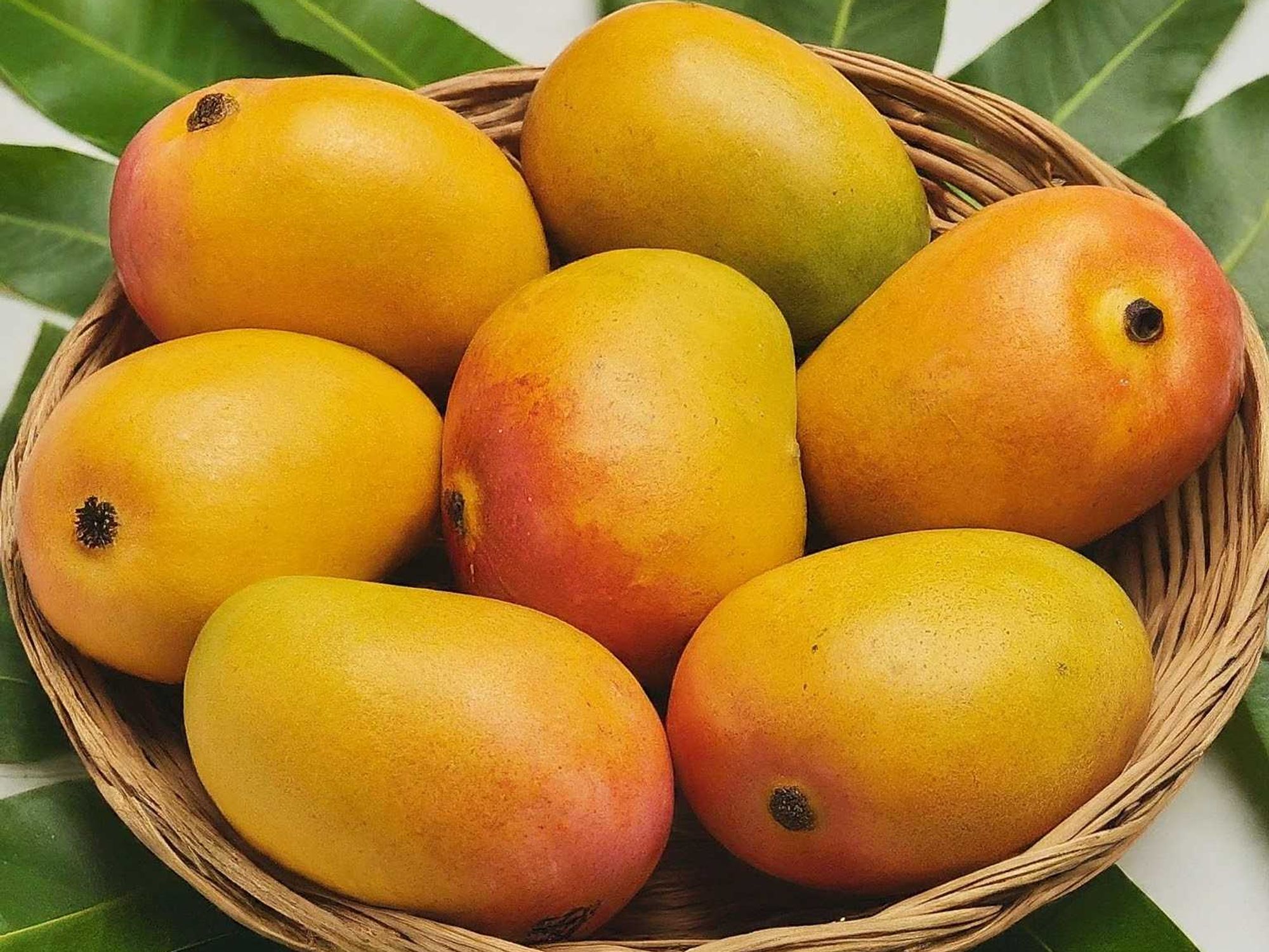 Bowl of mangoes