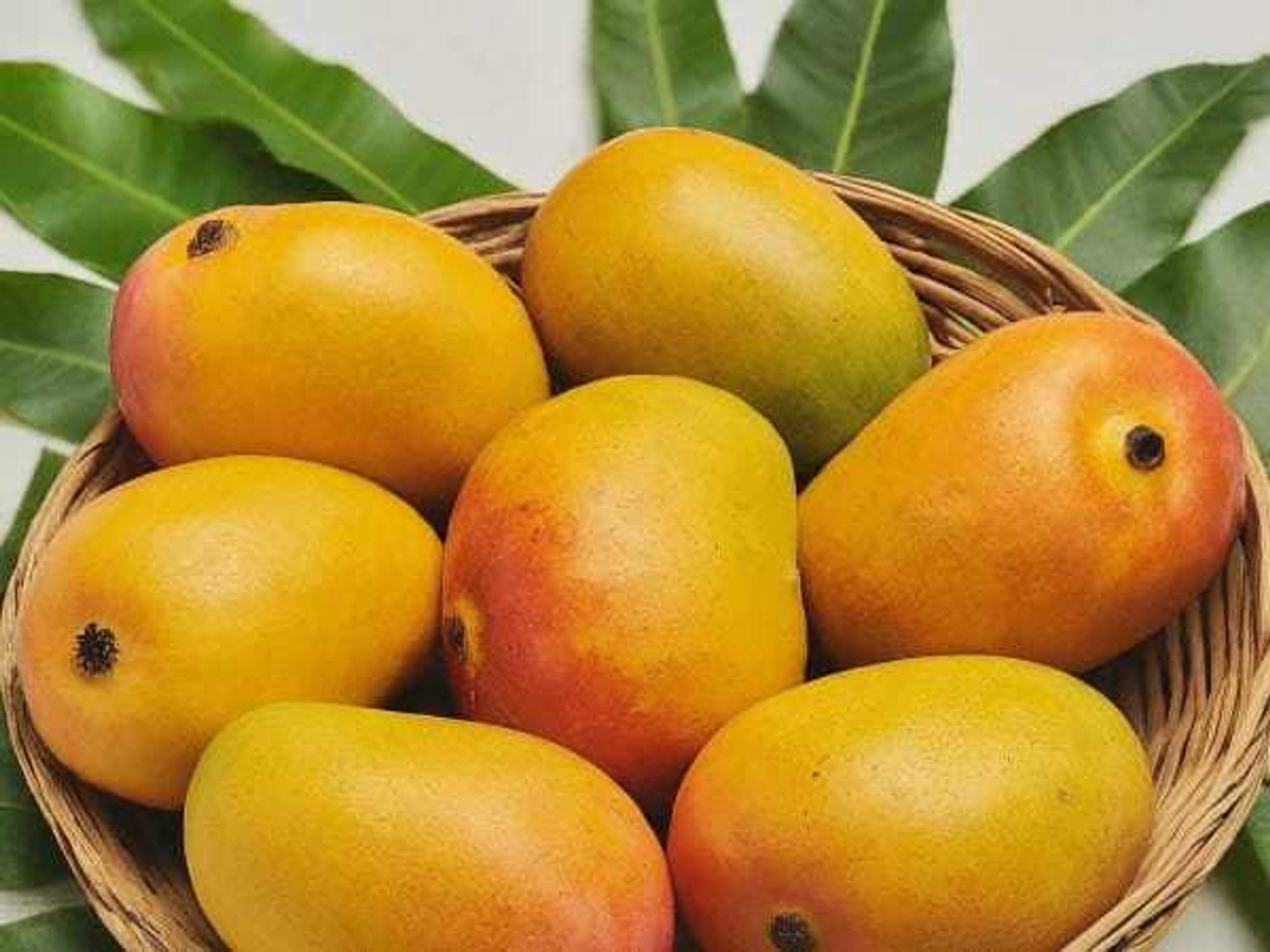 Bowl of mangoes