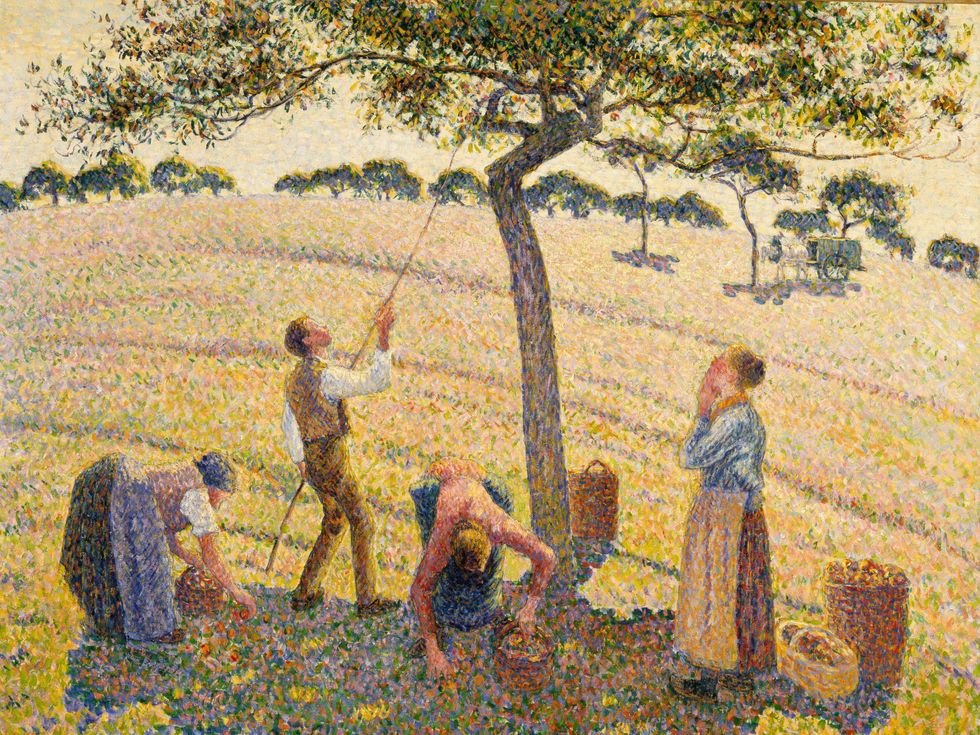Camille Pissarro, Apple Harvest, 1888
