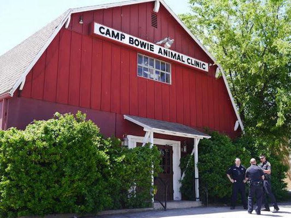 Camp Bowie Animal Clinic