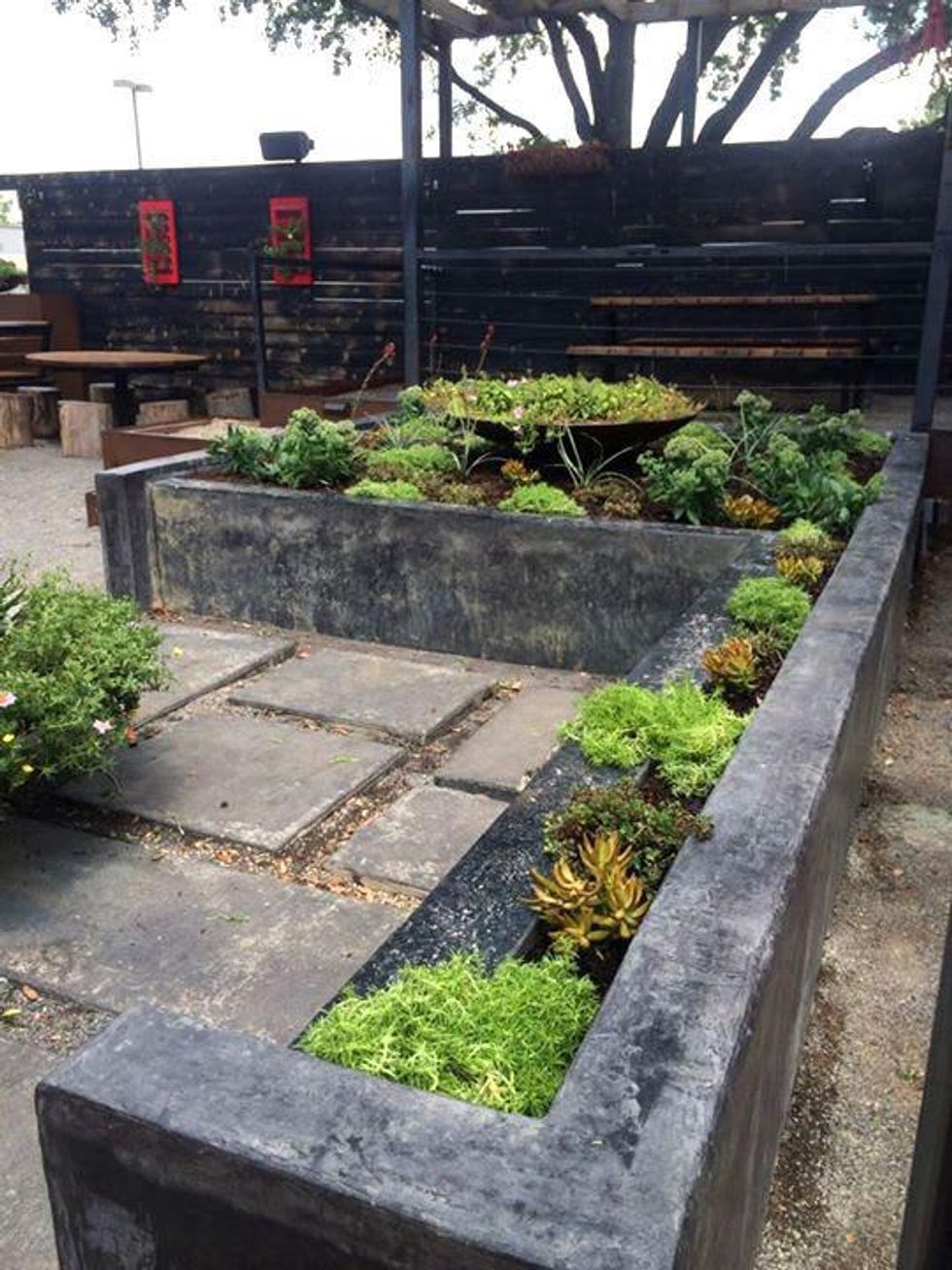 Cane Rosso White Rock fountain