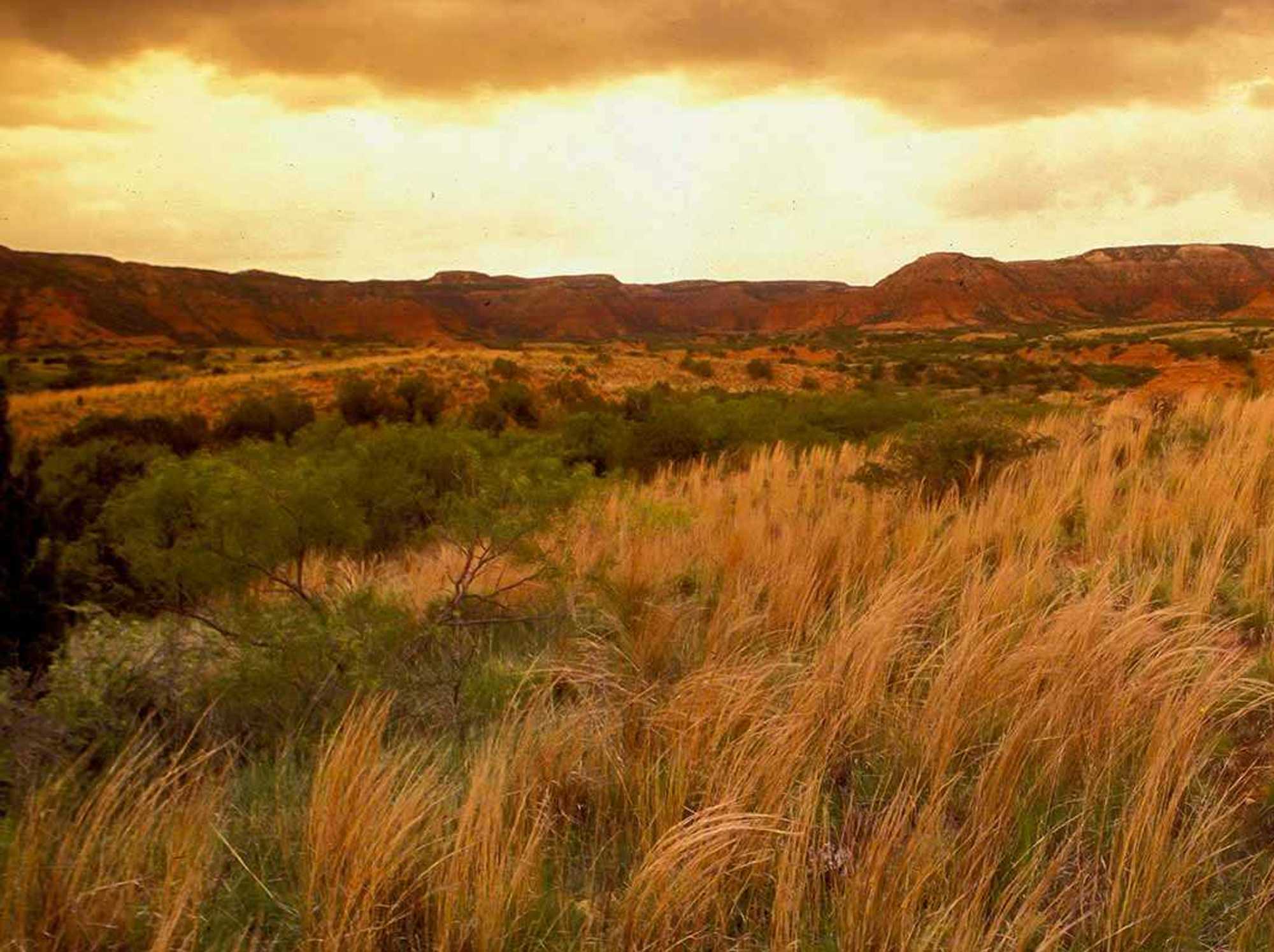Caprock Canyons State Park