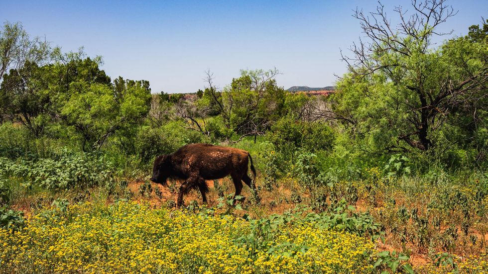 Lubbock's Best Parks, Lakes, And Trails For When You're Feeling 