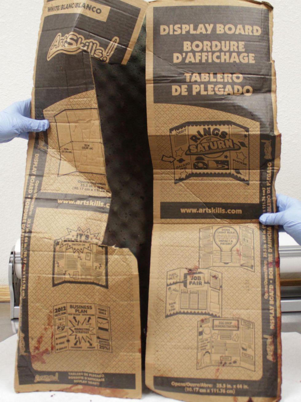 Cardboard liner, Parker County puppies