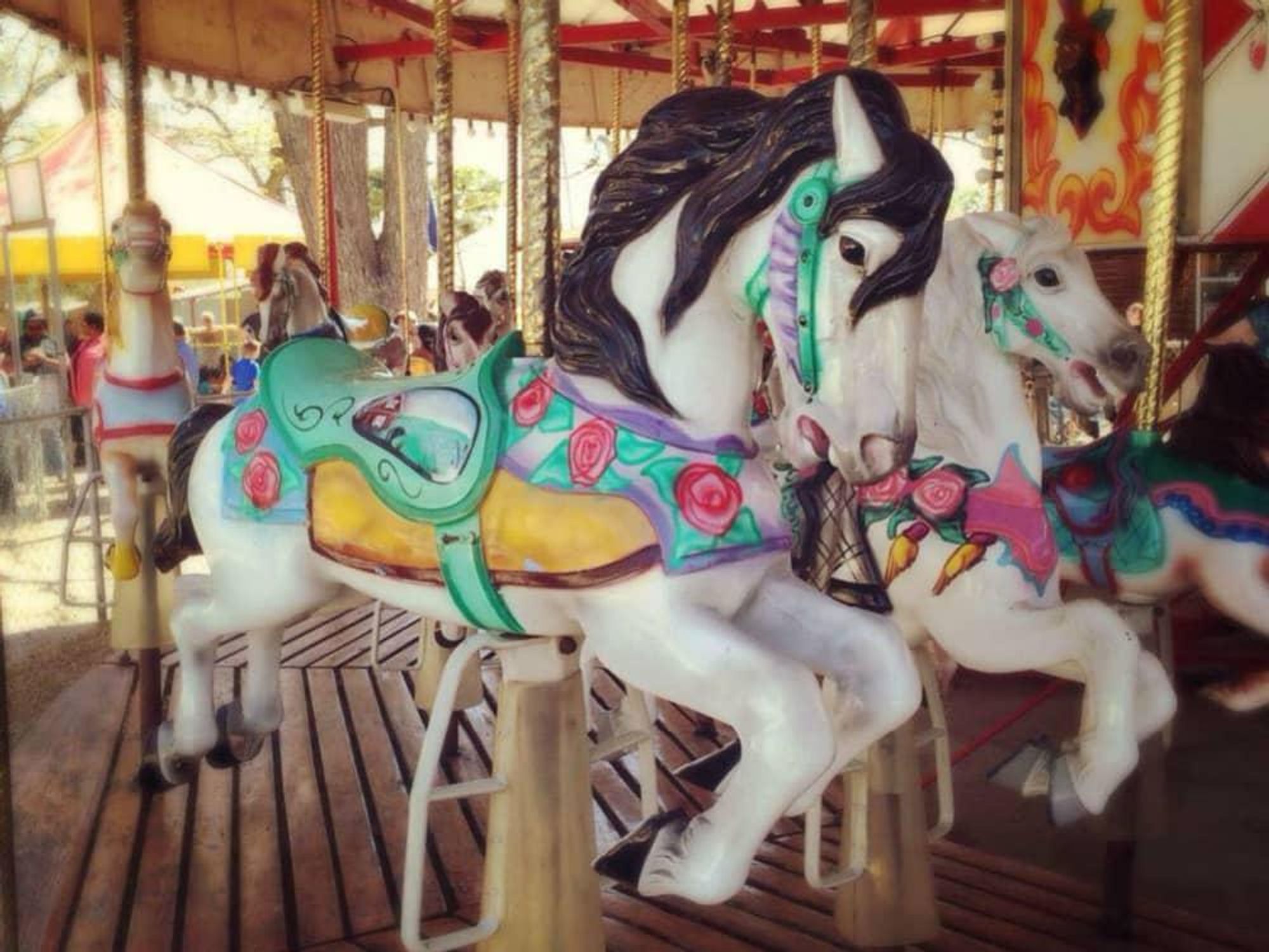 Carousel merry go round