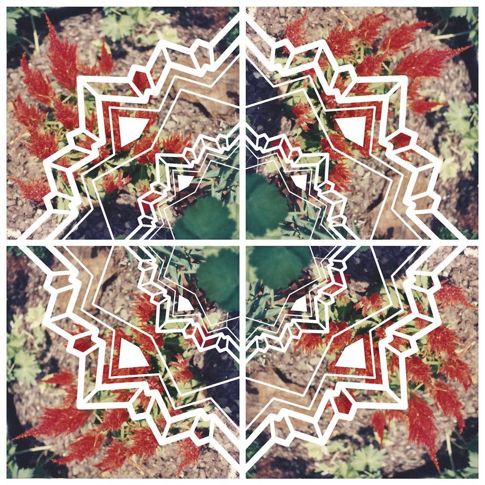 Cassandra Emswiler Burd