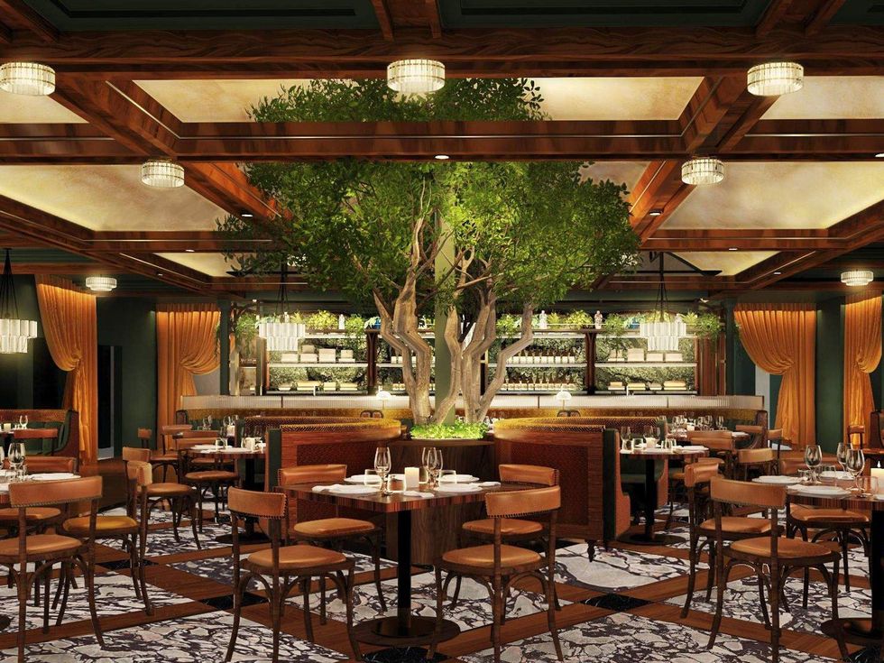 Catch Dallas olive tree dining room