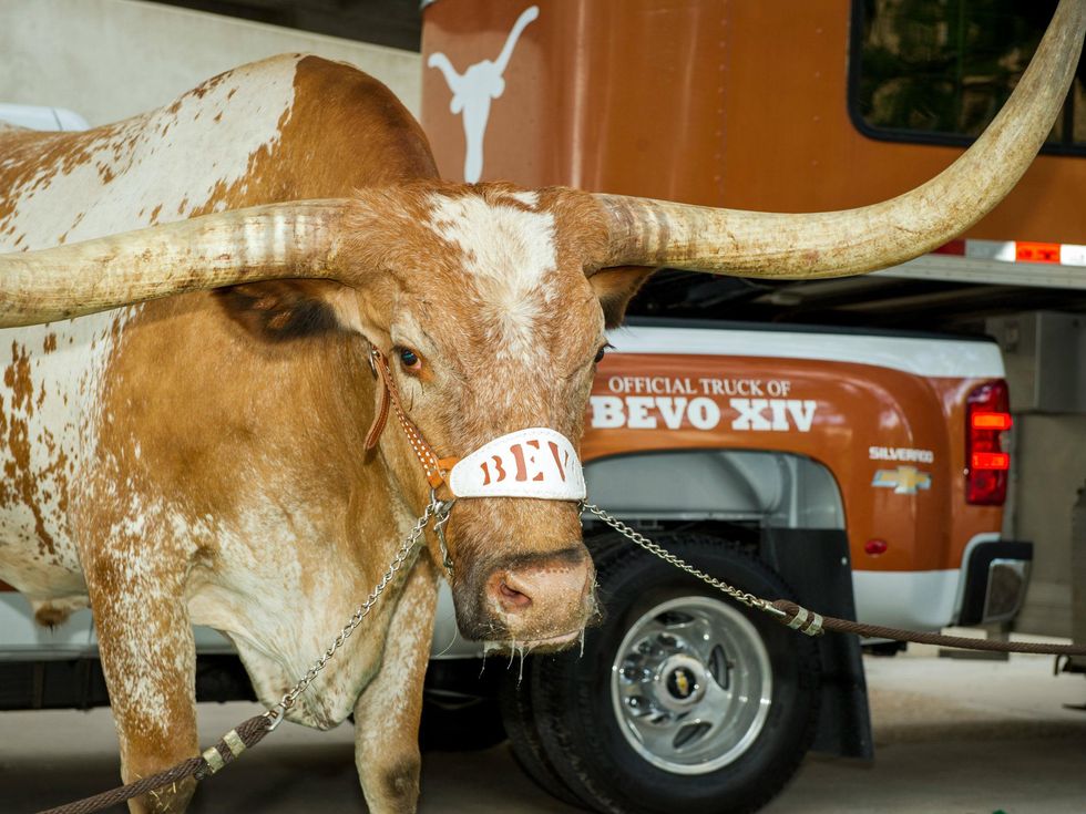 Chevy Silverado Bevo Offical Truck of UT