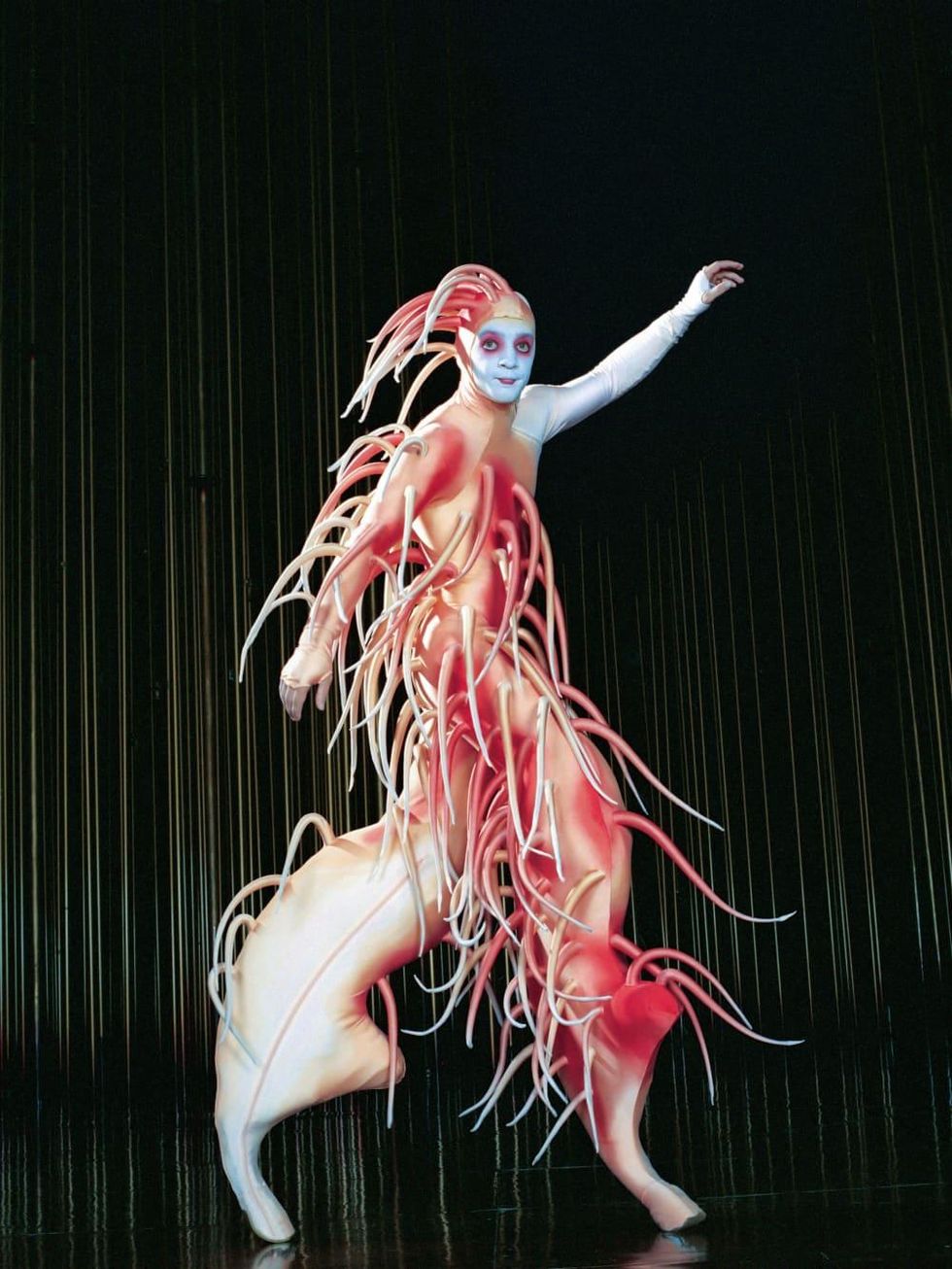 Cirque du Soleil: Varekai