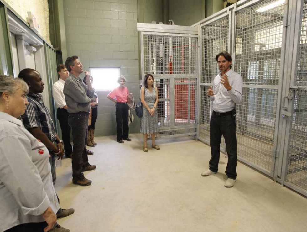 Cleveland Amory Black Beauty Ranch, tigers