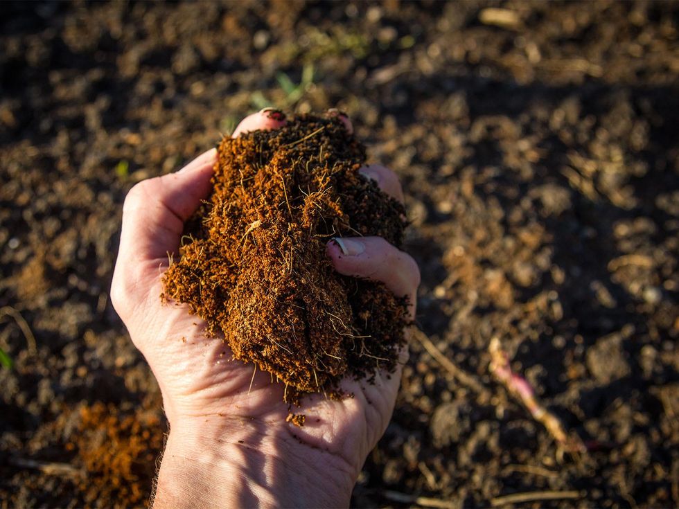Texas farmer harvests the power of coconuts to remedy poor soil
