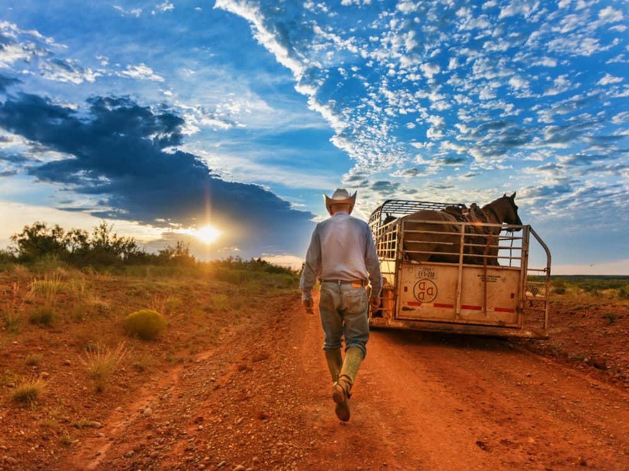 Cowboys of the Waggoner Ranch