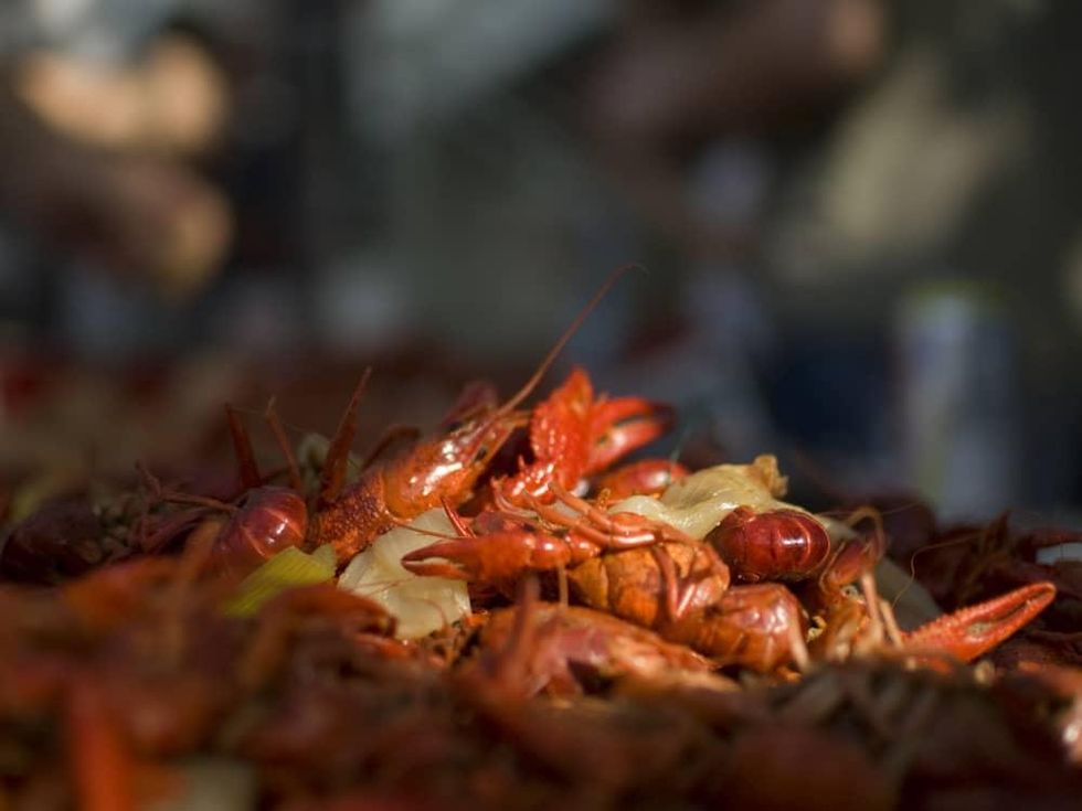Crawfish boil