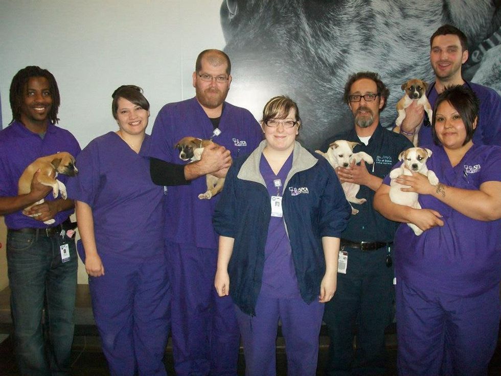 Crew at Dallas Animal Services