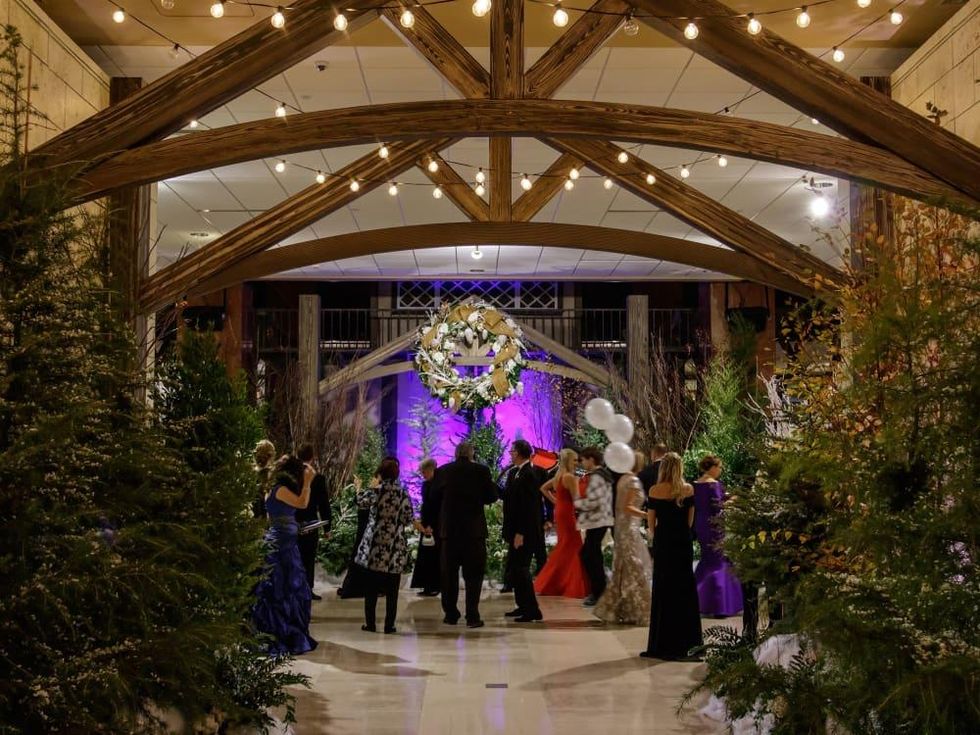 Crystal Charity Ball 2017 entrance