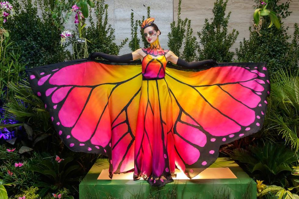 Crystal Charity Ball 2019