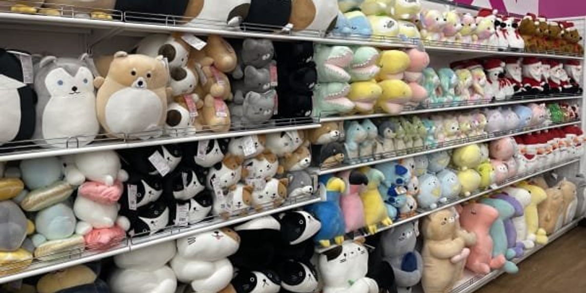 Japanese dollar store Daiso opens in Watauga with fanfare and giveaways -  CultureMap Fort Worth
