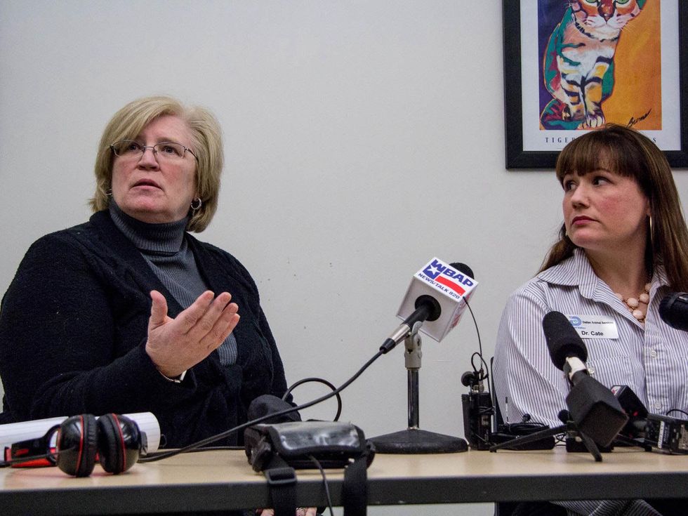 Dallas Animal Services