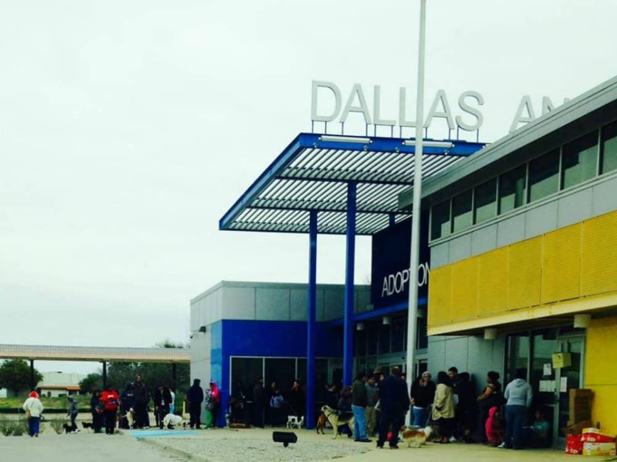 Dallas Animal Services