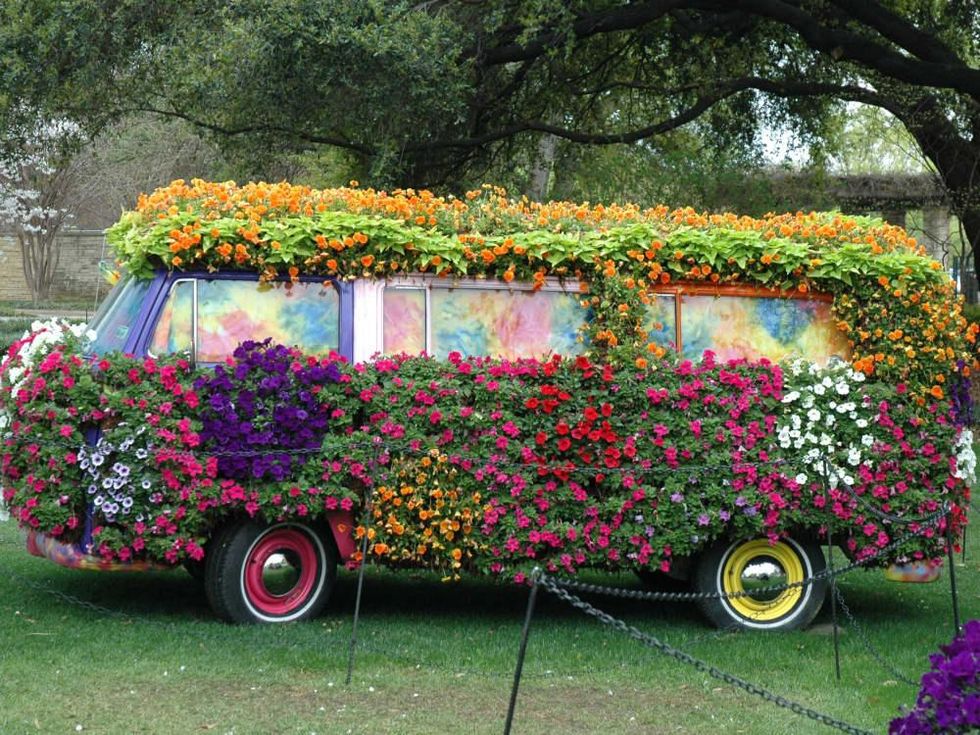 Dallas Arboretum and Botanical Garden presents Dallas Blooms: Flower Power