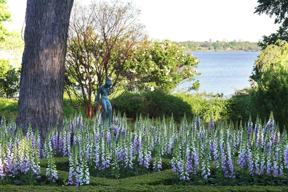Dallas Arboretum bluebonnets lake