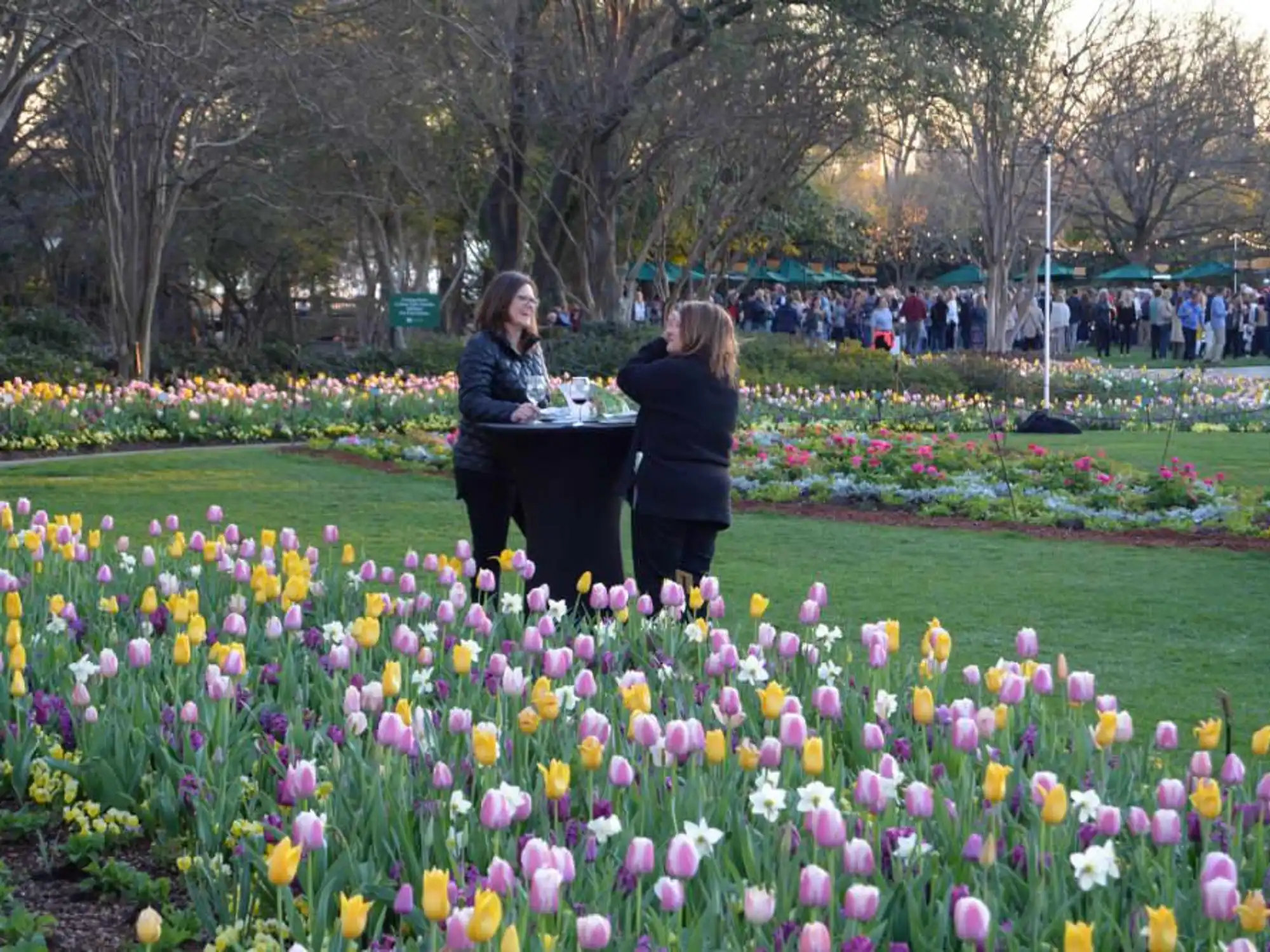 Dallas Arboretum Food and Wine Festival 2022