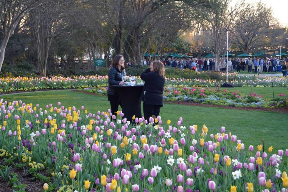 Dallas Arboretum Food and Wine Festival 2022