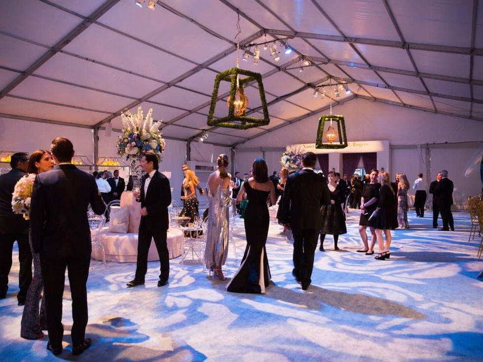 Dallas Art Ball 2017