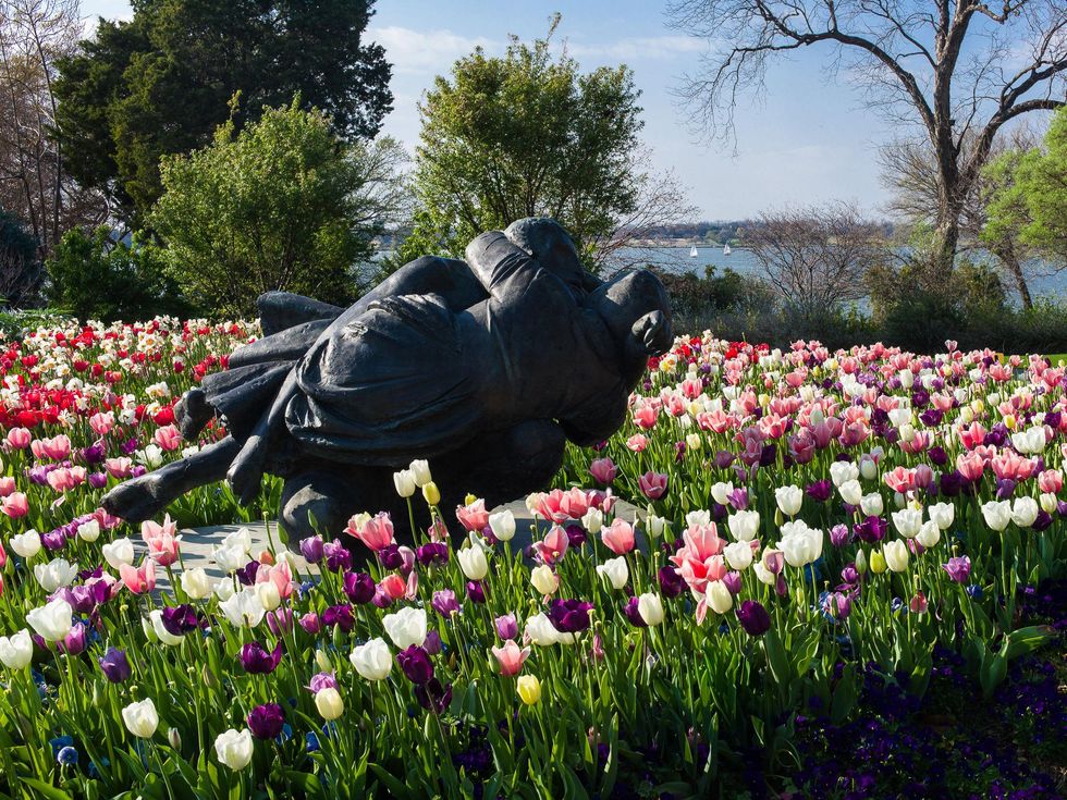 Dallas Blooms, Dallas Arboretum, Dallas, Garden