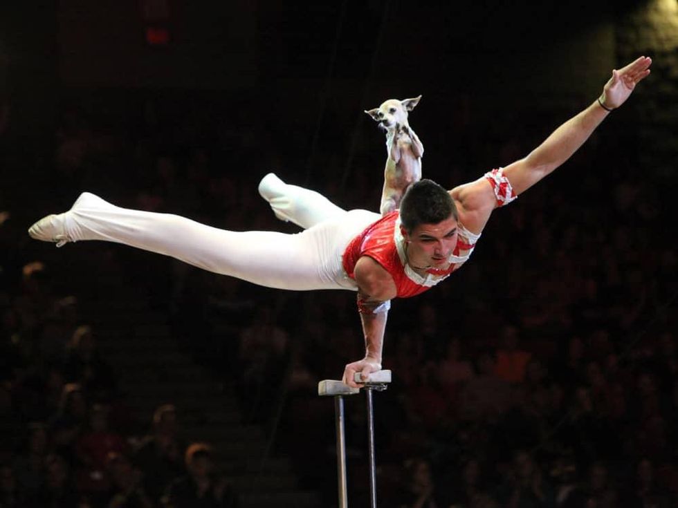 Dallas Children's Theater presents Lone Star Circus Holiday Spectacular