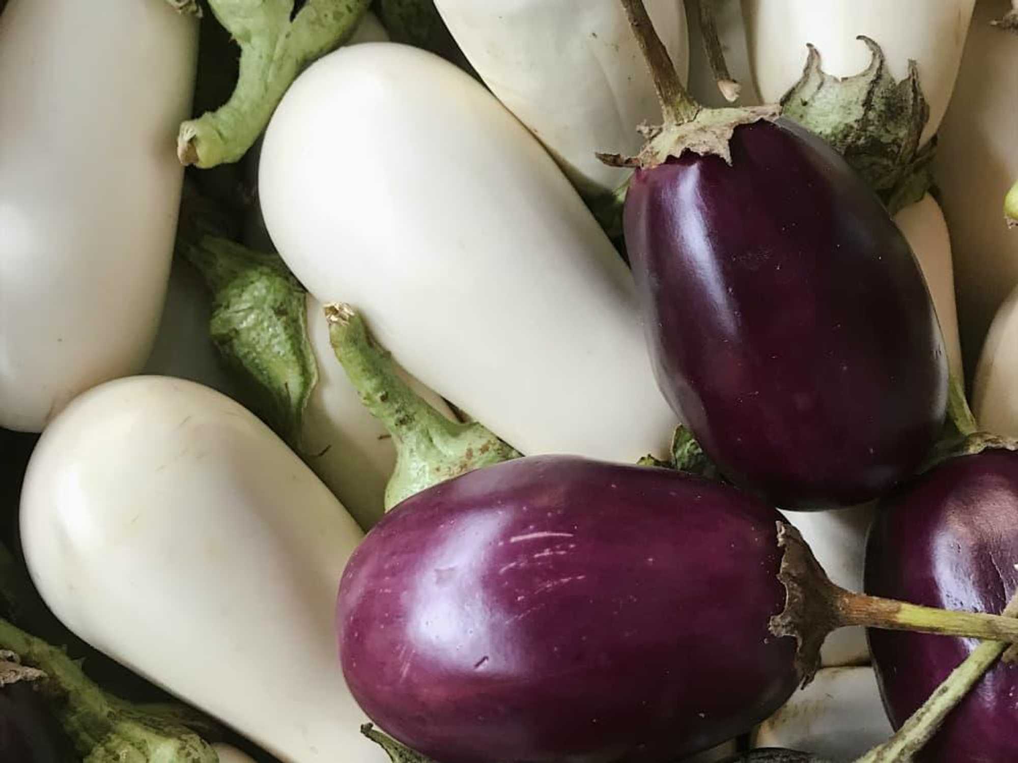 Dallas Farmers Market summer produce