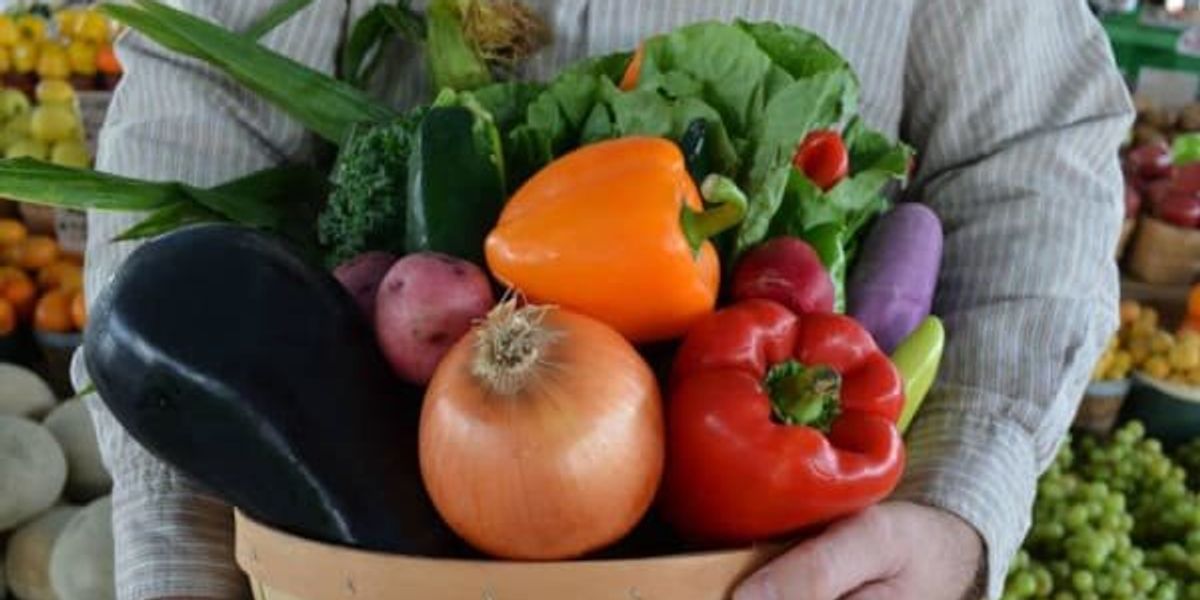 10 real-deal farmers markets across Dallas-Fort Worth for spring 2024 10 real-deal farmers markets across Dallas-Fort Worth for spring 2024