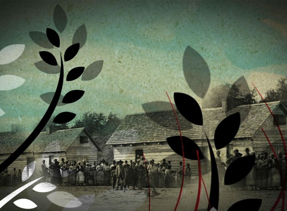 Dallas International Film Festival, Tomlinson Hill